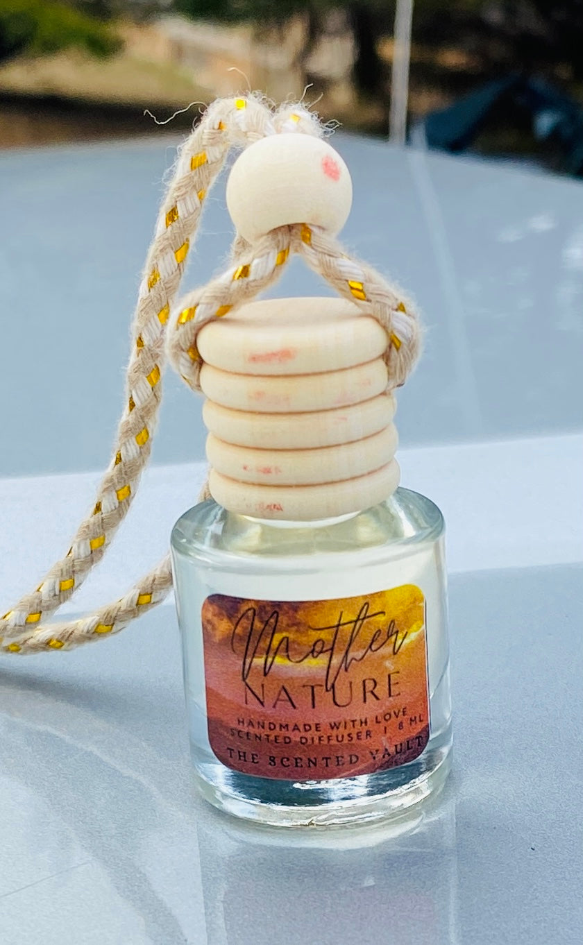 Hanging Scented Car Diffuser Air Freshener