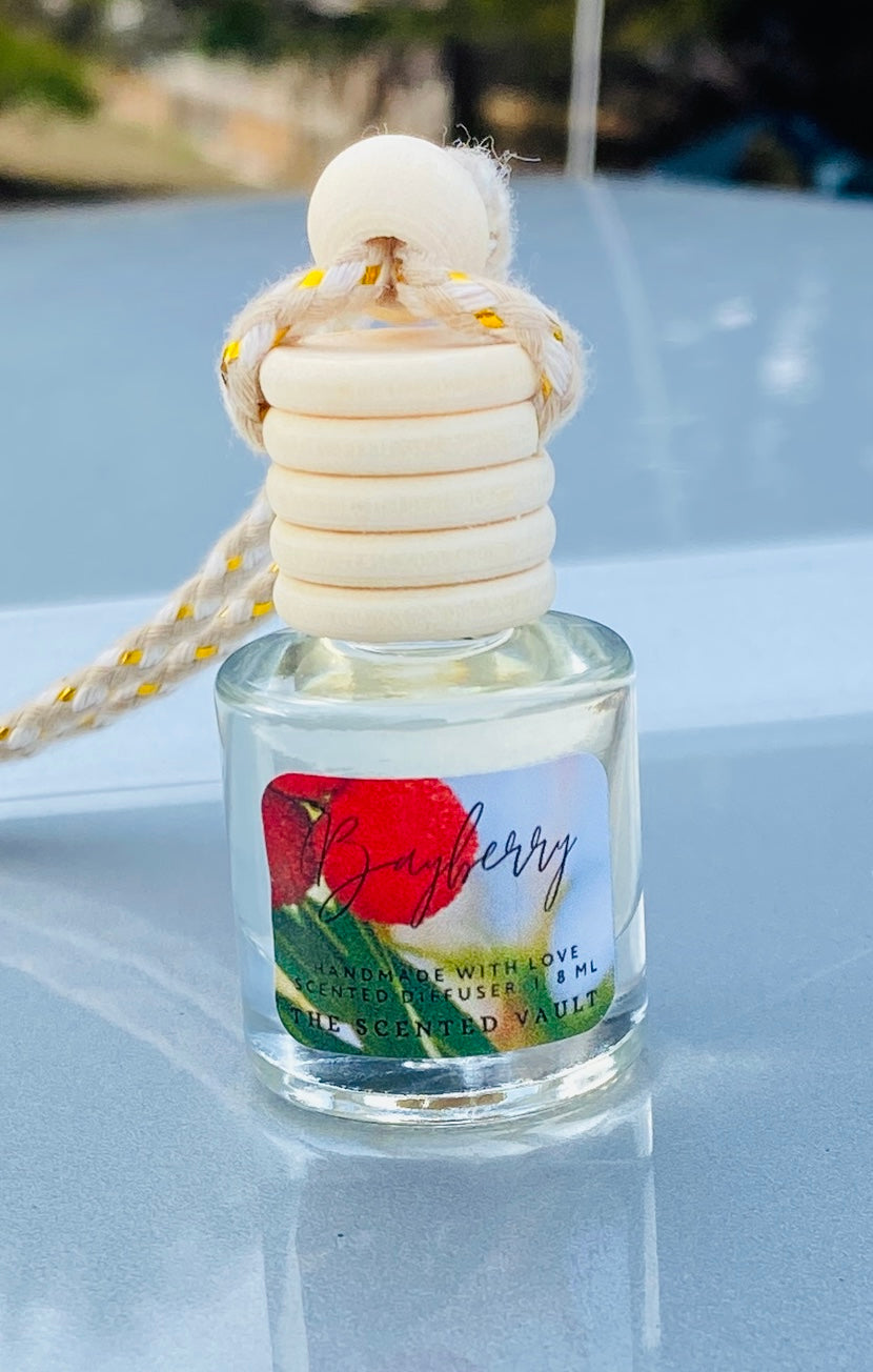 Hanging Scented Car Diffuser Air Freshener