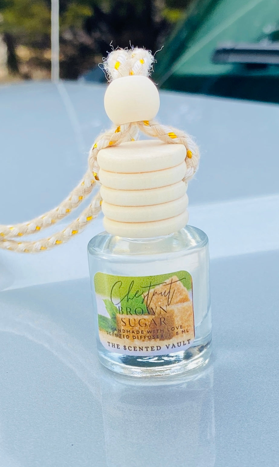 Hanging Scented Car Diffuser Air Freshener